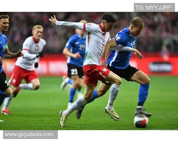 波兰国家队现役足球球员名单及其在国际赛场上的表现分析